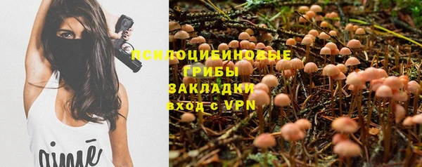 каннабис Алексеевка